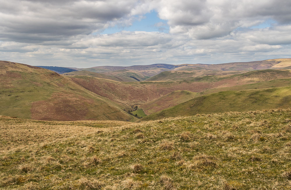 Beefstand Hill Beefstand Hill